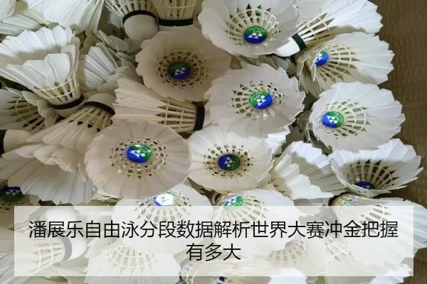 潘展乐自由泳分段数据解析世界大赛冲金把握有多大 | Dexin Sports